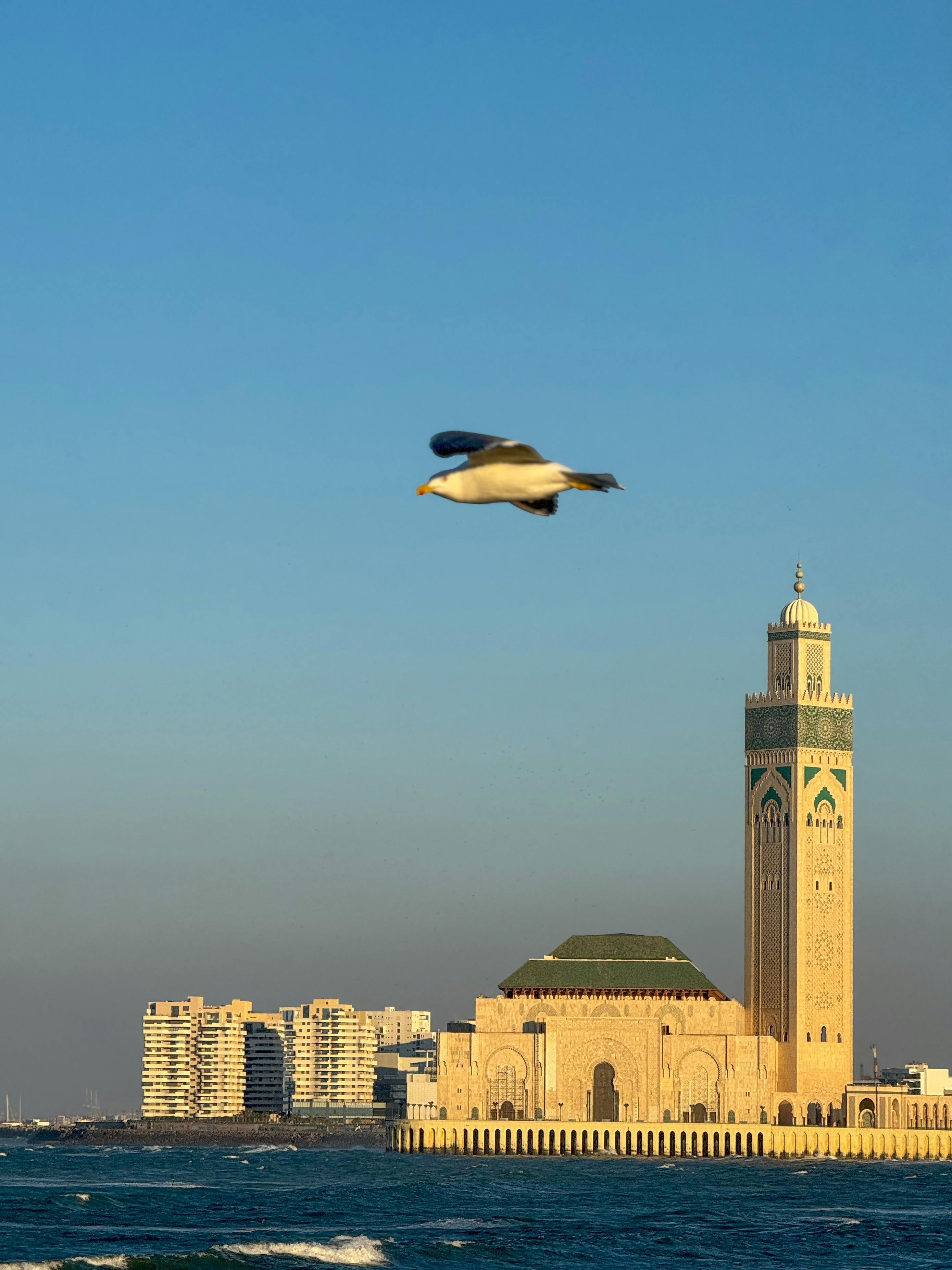 Casablanca